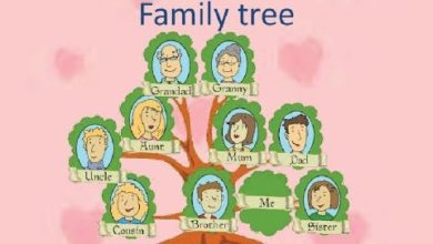 تعلم اللغة الانجليزية # جميع كلمات شجرة العائلة بالانجليزية Learn English - Family words