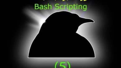الدرس الخامس من دورة من دورة Bash Scripting - البدء بالبرمجة