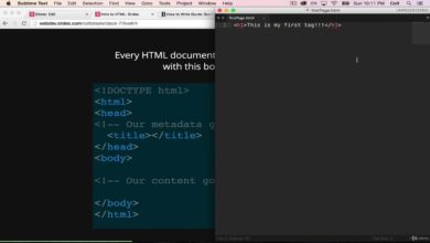 #10. 2020 The Web Developer Bootcamp | HTML Boilerplate and Comments