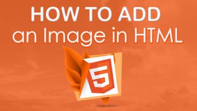 How To Add an Image in HTML