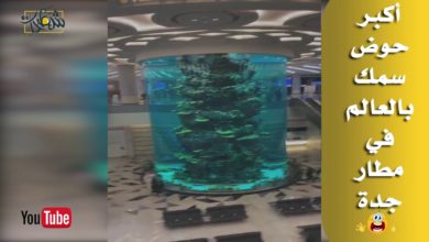 أكبر حوض سمك بالعالم في مطار جدة