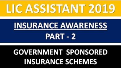 LIC ASSISTANT MAINS 2019 INSURANCE AWARENESS PART - 2 || GOVERNMENT SPONSORED INSURANCE SCHEME