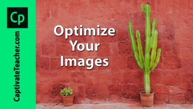 Optimize Your Images for Your Captivate eLearning