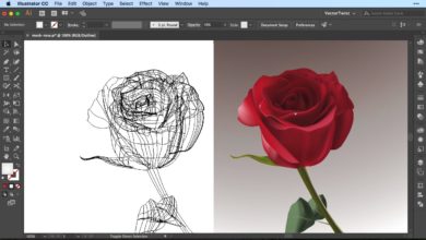 Gradient Mesh Tool: Create a Realistic Flower in Illustrator (SPEEDART)