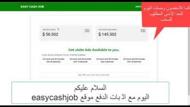 الربح من الانترنت مع إثبات سحب ٨٠ دولار من الموقع easycashjob