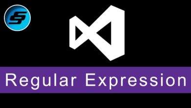 Regular Expressions - Visual Basic Programming (VB.NET & VBScript)