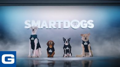 Introducing Smartdogs - GEICO Insurance